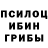 Псилоцибиновые грибы Psilocybe dinga RA