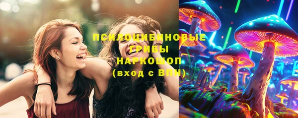 прущие крисы Богородицк