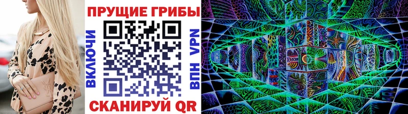 Купить  Мценск  Псилоцибиновые грибы прущие грибы 